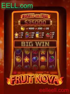 Descubra o Mundo Vibrante de 'FruitNova'